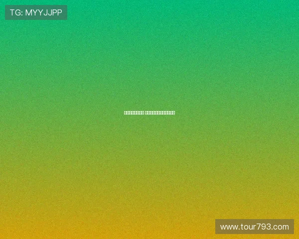 德甲联赛激战正酣 多支强队争锋上演精彩对决